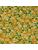 Koberce - pm-Suite Symphony Mendelssohn ab 400 - BLT-SSMENDELS - 023