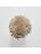 Koberce - FdS Band 0 Linen (L) - FERR-LINENL - L333