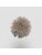 Koberce - FdS Band 0 Mohair (TW) - FERR-MOHAIRTW - TW284 Tapioca