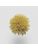 Koberce - FdS Band 0 Mohair (TW) - FERR-MOHAIRTW - TW488 Pistache Green