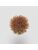 Koberce - FdS Band 0 Mohair (TW) - FERR-MOHAIRTW - TW520 Golden Brown