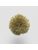Koberce - FdS Band 0 Mohair (TW) - FERR-MOHAIRTW - TW559 Mustard