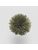Koberce - FdS Band 0 Mohair (TW) - FERR-MOHAIRTW - TW557 Pesto