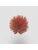 Koberce - FdS Band 0 Mohair (TW) - FERR-MOHAIRTW - TW661 Chili