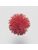 Koberce - FdS Band 0 Mohair (TW) - FERR-MOHAIRTW - TW679 Tomato