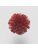 Koberce - FdS Band 0 Mohair (TW) - FERR-MOHAIRTW - TW680 Red
