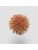 Koberce - FdS Band 0 Mohair (TW) - FERR-MOHAIRTW - TW845 Apricot Orange