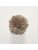 Koberce - FdS Band 0 Botanical Silk Contract (TT) - FERR-BOTSILKTT - TT5 Golden Brown