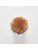 Koberce - FdS Band 0 Botanical Silk Contract (TT) - FERR-BOTSILKTT - TT42 Ochre