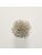 Koberce - FdS Band 0 Botanical Silk Contract (TT) - FERR-BOTSILKTT - TT44 Beige