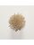 Koberce - FdS Band 0 Botanical Silk Contract (TT) - FERR-BOTSILKTT - TT50 Sand