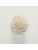 Koberce - FdS Band 0 Botanical Silk Contract (TT) - FERR-BOTSILKTT - TT61 Cream