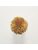 Koberce - FdS Band 0 Botanical Silk Contract (TT) - FERR-BOTSILKTT - TT68 Amber