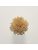 Koberce - FdS Band 0 Botanical Silk Contract (TT) - FERR-BOTSILKTT - TT150 Honey Mustard