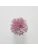 Koberce - FdS Band 0 Botanical Silk Contract (TT) - FERR-BOTSILKTT - TT152 Orchid