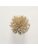 Koberce - FdS Band 0 Botanical Silk Contract (TT) - FERR-BOTSILKTT - TT154 Dark Beige