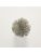 Koberce - FdS Band 0 Botanical Silk Contract (TT) - FERR-BOTSILKTT - TT172 Greyish Green