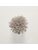 Koberce - FdS Band 0 Botanical Silk Contract (TT) - FERR-BOTSILKTT - TT173 Tin