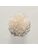 Koberce - FdS Band 0 Botanical Silk (T) - FERR-BOTSILKT - T2 Seashell
