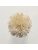 Koberce - FdS Band 0 Botanical Silk (T) - FERR-BOTSILKT - T4 Corn