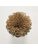 Koberce - FdS Band 0 Botanical Silk (T) - FERR-BOTSILKT - T6 Cinnamon
