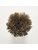 Koberce - FdS Band 0 Botanical Silk (T) - FERR-BOTSILKT - T7 Tobacco