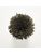 Koberce - FdS Band 0 Botanical Silk (T) - FERR-BOTSILKT - T9 Dark Brown