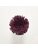 Koberce - FdS Band 0 Botanical Silk (T) - FERR-BOTSILKT - T10 Purple