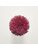 Koberce - FdS Band 0 Botanical Silk (T) - FERR-BOTSILKT - T11 Fuchsia