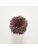 Koberce - FdS Band 0 Botanical Silk (T) - FERR-BOTSILKT - T12 Rosy Brown