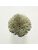 Koberce - FdS Band 0 Botanical Silk (T) - FERR-BOTSILKT - T17 Sage Green
