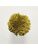 Koberce - FdS Band 0 Botanical Silk (T) - FERR-BOTSILKT - T18 Deep Gold
