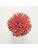 Koberce - FdS Band 0 Botanical Silk (T) - FERR-BOTSILKT - T20 Tomato