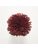 Koberce - FdS Band 0 Botanical Silk (T) - FERR-BOTSILKT - T21 Ruby