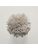 Koberce - FdS Band 0 Botanical Silk (T) - FERR-BOTSILKT - T27 Smoke