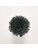 Koberce - FdS Band 0 Botanical Silk (T) - FERR-BOTSILKT - T37 Pacific