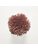 Koberce - FdS Band 0 Botanical Silk (T) - FERR-BOTSILKT - T39 Copper
