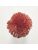Koberce - FdS Band 0 Botanical Silk (T) - FERR-BOTSILKT - T40 Mandarim