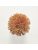 Koberce - FdS Band 0 Botanical Silk (T) - FERR-BOTSILKT - T42 Ochre