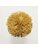 Koberce - FdS Band 0 Botanical Silk (T) - FERR-BOTSILKT - T43 Gold