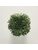 Koberce - FdS Band 0 Botanical Silk (T) - FERR-BOTSILKT - T46 Forest Green