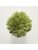Koberce - FdS Band 0 Botanical Silk (T) - FERR-BOTSILKT - T48 Olive Green