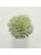 Koberce - FdS Band 0 Botanical Silk (T) - FERR-BOTSILKT - T49 Fog Green