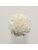 Koberce - FdS Band 0 Botanical Silk (T) - FERR-BOTSILKT - T52 Ivory
