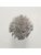 Koberce - FdS Band 0 Botanical Silk (T) - FERR-BOTSILKT - T58 Metal
