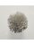 Koberce - FdS Band 0 Botanical Silk (T) - FERR-BOTSILKT - T59 Soft Grey