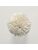 Koberce - FdS Band 0 Botanical Silk (T) - FERR-BOTSILKT - T61 Cream