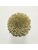 Koberce - FdS Band 0 Botanical Silk (T) - FERR-BOTSILKT - T63 Gold Stone