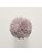 Koberce - FdS Band 0 Botanical Silk (T) - FERR-BOTSILKT - T74 Orchid Ice