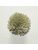 Koberce - FdS Band 0 Botanical Silk (T) - FERR-BOTSILKT - T76 Dusty Green